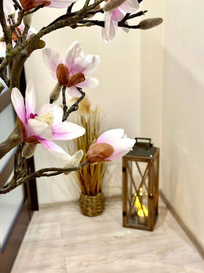 Apartament "Marka" ピワ エクステリア 写真